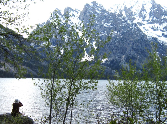Capturing Jenny Lake